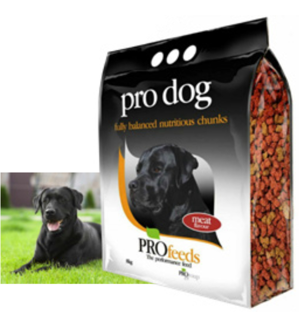 Dogfood Dogfood