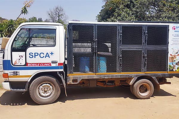 amp-csr-harare-spca amp-csr-harare-spca