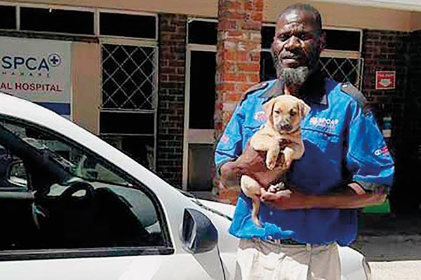 amp-csr-harare-spca2 amp-csr-harare-spca2