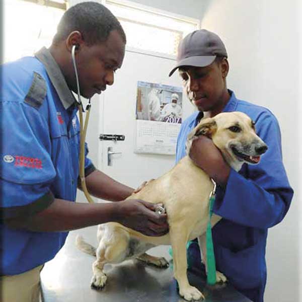 colcom-csr-animal-welfare colcom-csr-animal-welfare