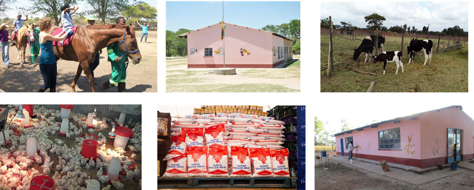 national-foods-csr national-foods-csr