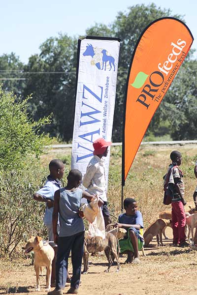 profeeds-csr-cyclone-idai-znspca2 profeeds-csr-cyclone-idai-znspca2