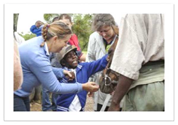 profeeds-csr-healing-with-horses profeeds-csr-healing-with-horses