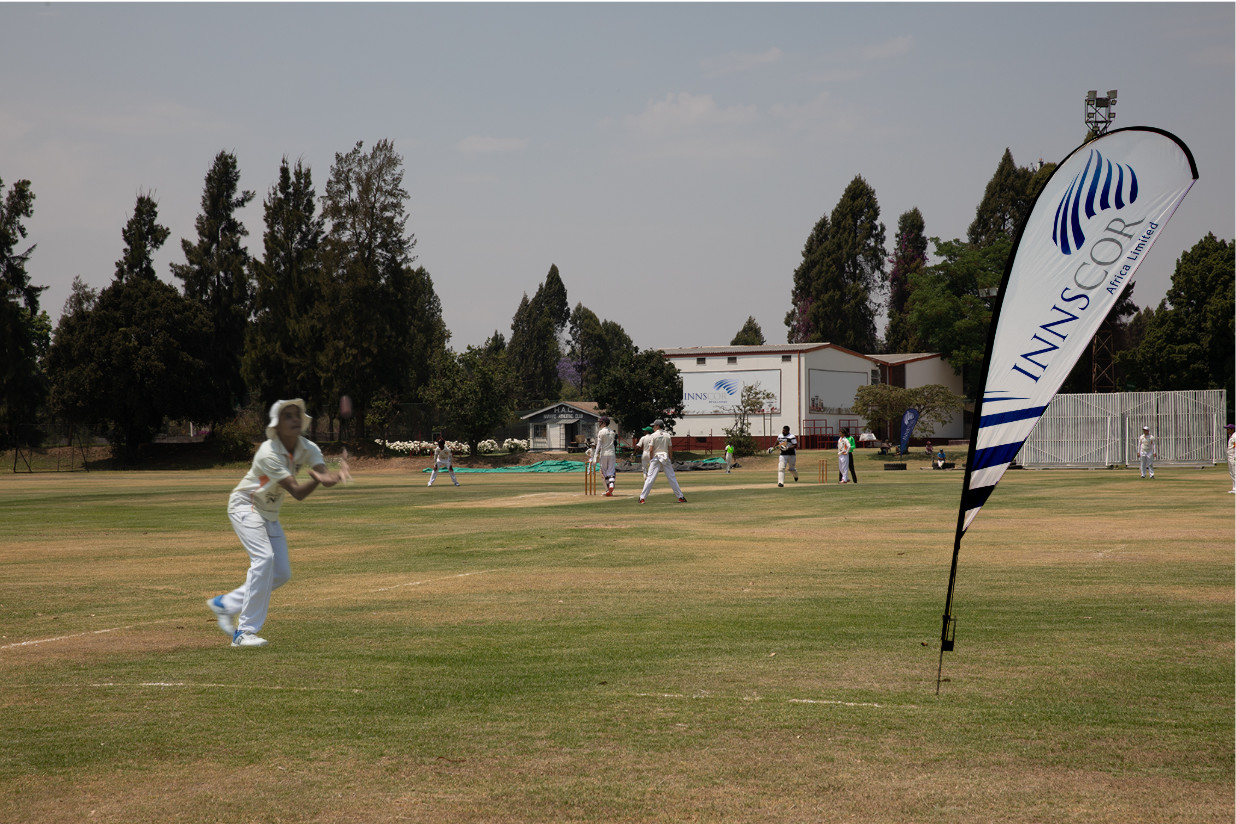Cricket Cricket