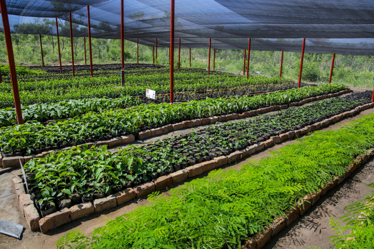 Farm Farm