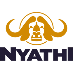 Nyathi