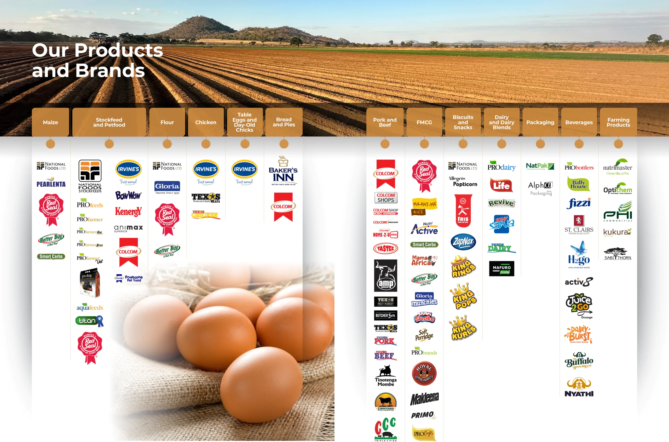 Products-Brands-2024-4-scaled.webp